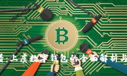 2025必看：上虞数字钱包的全面解析与未来展望