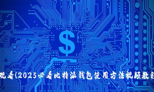 立即观看！2025必看比特派钱包使用方法视频教程全集