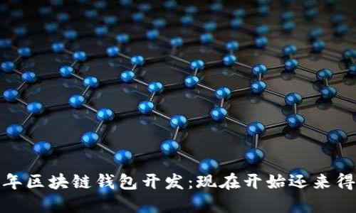 2023年区块链钱包开发：现在开始还来得及吗？