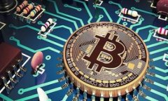   2025必看：立即了解数字货币钱包的种类与选择