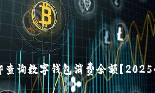 如何立即查询数字钱包消费余额？2025必看指南