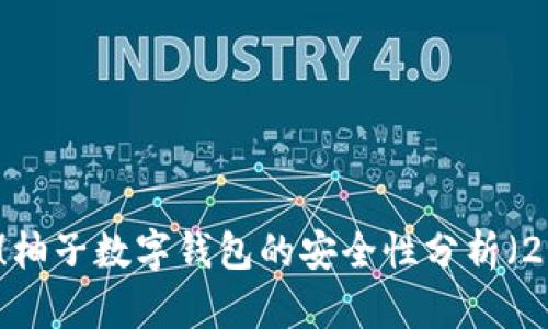 立即了解！柚子数字钱包的安全性分析（2025必看）