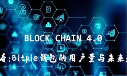 2025必看：Bitpie钱包的用户量与未来趋势分析