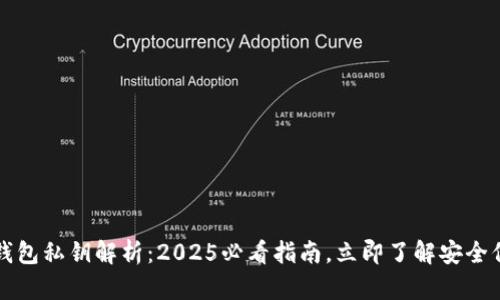 区块链钱包私钥解析：2025必看指南，立即了解安全保管技巧