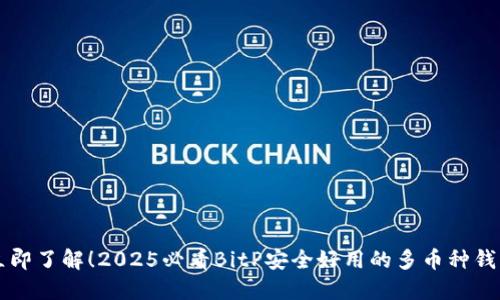 立即了解！2025必看BitP安全好用的多币种钱包