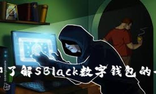 2025必看！立即了解SBlack数字钱包的全面优势与应用