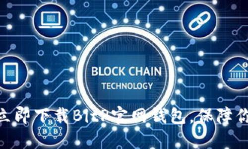 2025必看：如何立即下载BitP官网钱包，保障你的数字资产安全