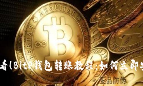 2025必看！BitP钱包转账教程：如何立即安全转账