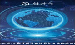   2025必看：立即掌握区块链钱包查询地址的秘诀