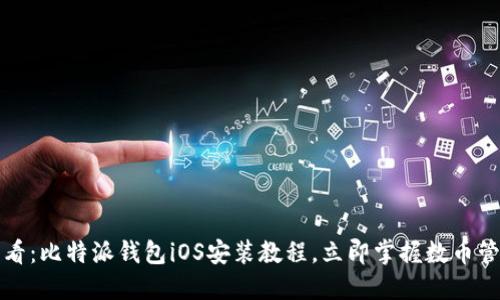 2025必看：比特派钱包iOS安装教程，立即掌握数币管理技巧！