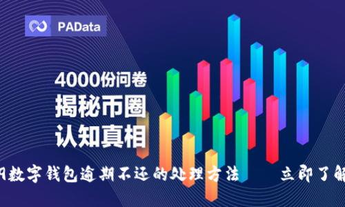 jiaoti2019数字钱包逾期不还的处理方法——立即了解你的权利！
