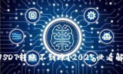 比特派USDT转账不到账？2025必看解决方案！