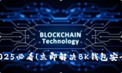 美金被盗？2025必看！立即解决BK钱包安全问题的