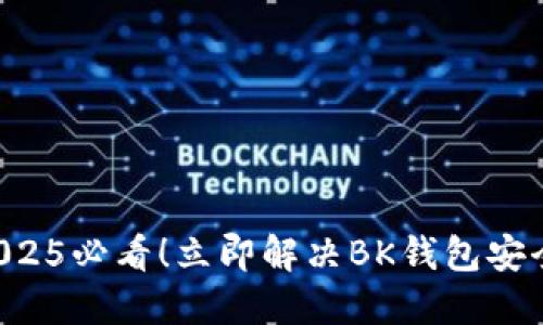 美金被盗？2025必看！立即解决BK钱包安全问题的方法