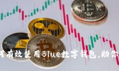 2025必看：如何有效使用Blue数字钱包，助你掌控个