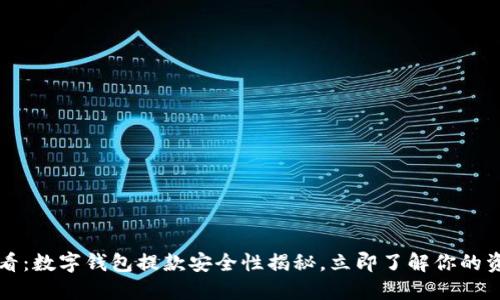 2025必看：数字钱包提款安全性揭秘，立即了解你的资金安全！
