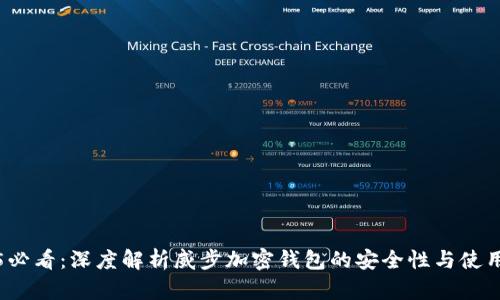 2025必看：深度解析威步加密钱包的安全性与使用指南