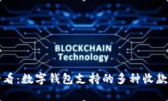 bianoti2025必看：数字钱包支持的多种收款方式，立