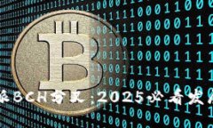 立即了解比特派BCH分叉：2025必看发展的趋势与解
