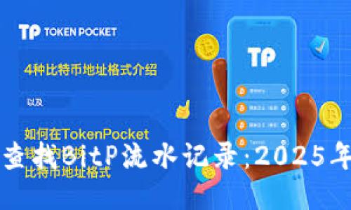如何立即查找BitP流水记录：2025年必看指南