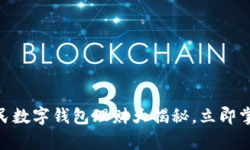 2025年必看：人民数字钱包理财大揭秘，立即掌握财富增值技巧