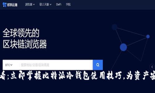2025必看：立即掌握比特派冷钱包使用技巧，为资产安全加码！