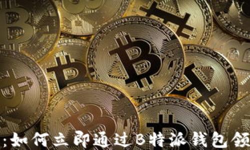 
2025必看：如何立即通过B特派钱包领取分叉币？
