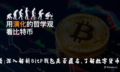 2025必看：深入解析BitP钱包是否匿名，了解数字货币隐私保护