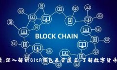 2025必看：深入解析BitP钱包是否匿名，了解数字货