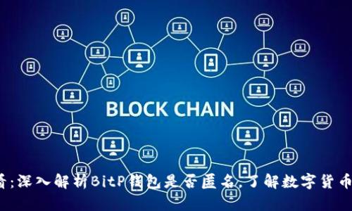 2025必看：深入解析BitP钱包是否匿名，了解数字货币隐私保护