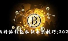 立即掌握比特派钱包私钥导出技巧：2025必看指南