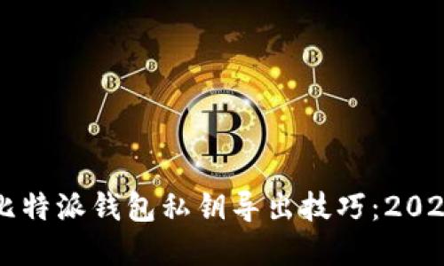 立即掌握比特派钱包私钥导出技巧：2025必看指南