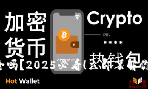 数字钱包App安全吗？2025必看！立即了解你的数字资产保护