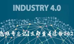 BitKeep钱包账号忘记？立即查看这份2025必看指南！