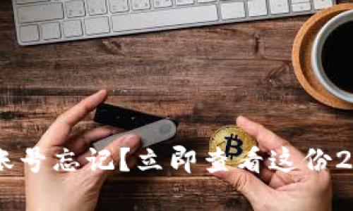 BitKeep钱包账号忘记？立即查看这份2025必看指南！