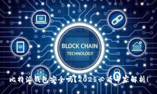 比特派钱包安全吗？2025必看专家解析！