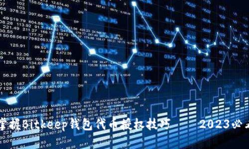 立即掌握Bitkeep钱包代币授权技巧——2023必看指南