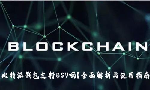 比特派钱包支持BSV吗？全面解析与使用指南