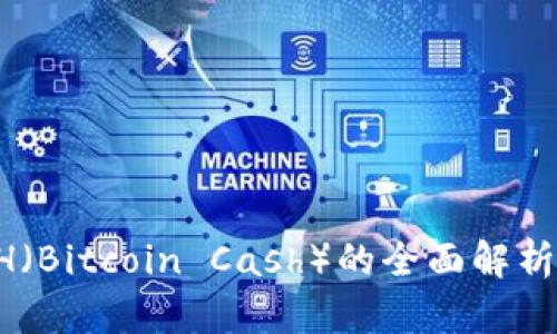 比特派：BCH（Bitcoin Cash）的全面解析与投资指南