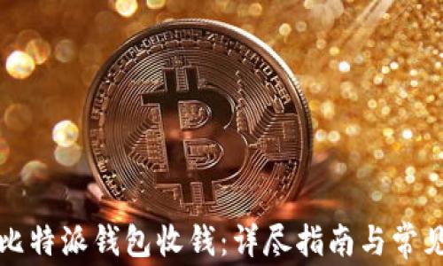 
如何使用比特派钱包收钱：详尽指南与常见问题解答