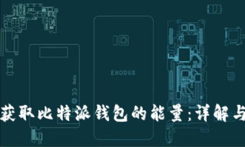 如何获取比特派钱包的能量：详解与指导