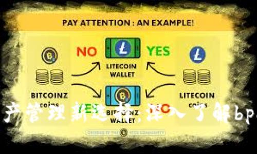 数字资产管理新选择：深入了解bpay钱包