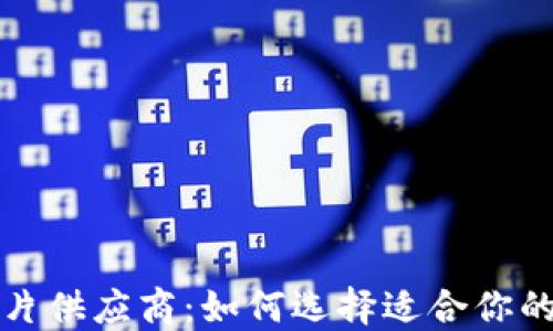 
数字钱包芯片供应商：如何选择适合你的顶级供应商