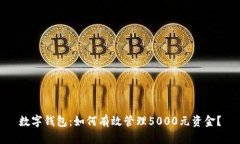 数字钱包：如何有效管理5000元资金？