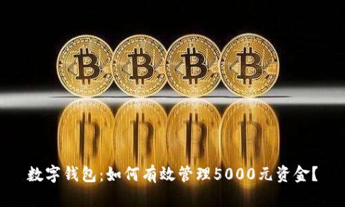 数字钱包：如何有效管理5000元资金？