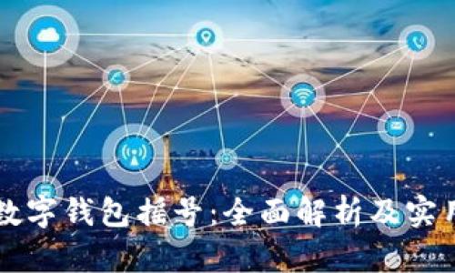 深圳数字钱包摇号：全面解析及实用指南