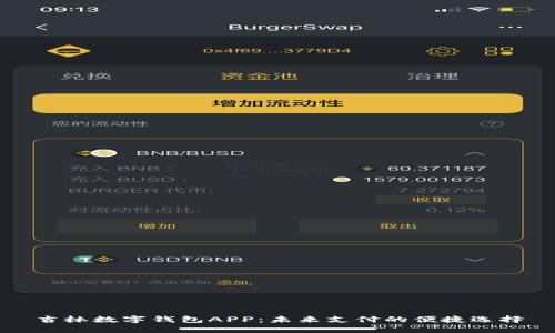 吉林数字钱包APP：未来支付的便捷选择