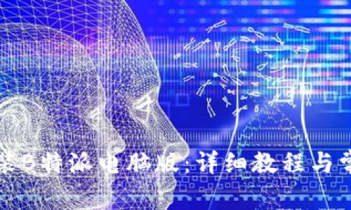 如何下载安装B特派电脑版：详细教程与常见问题解析