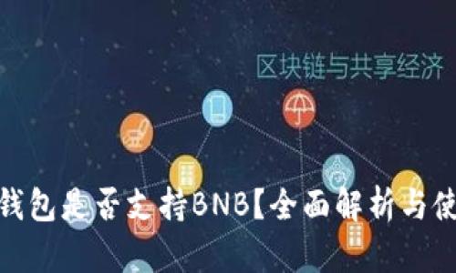 Bitpie钱包是否支持BNB？全面解析与使用指南