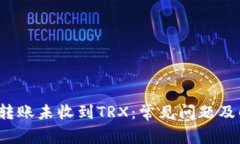 : B特派转账未收到TRX：常见问题及解决方案
